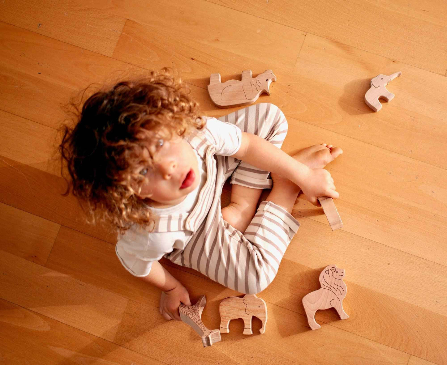 Montessori Ahşap Safari Hayvanları Seti