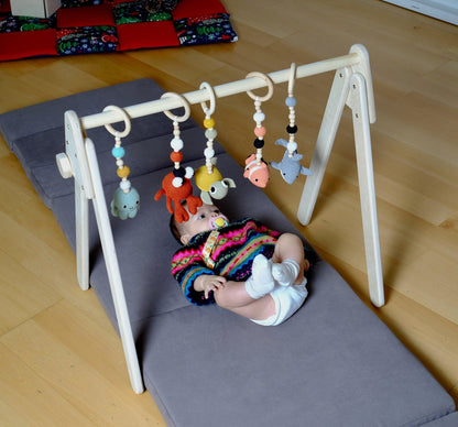 Baby Gym and Hanging Toys - Kidodido