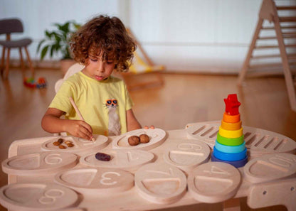 Montessori Ahşap Sayı Sayma Tepsisi | Eğitici Sayılar ve Şekiller Seti