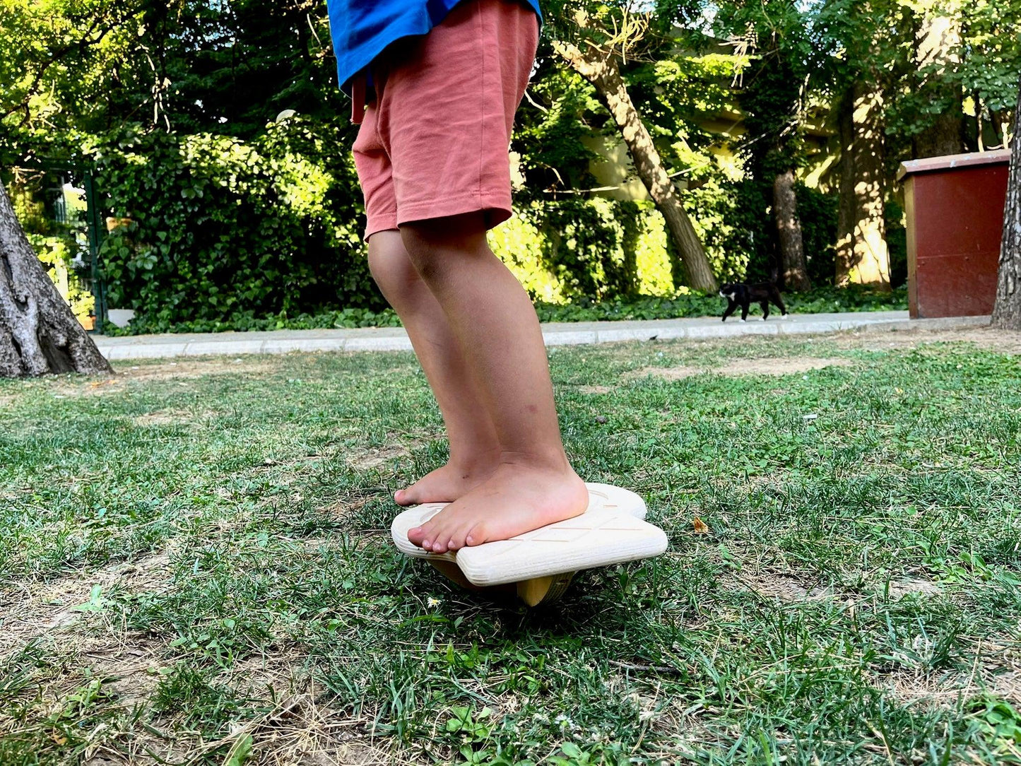 Maze Wooden Balance Board - Kidodido