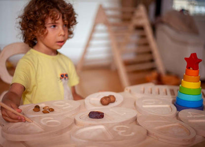 Montessori Ahşap Sayı Sayma Tepsisi | Eğitici Sayılar ve Şekiller Seti